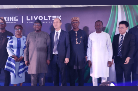 L-R Timitope Dina, representative of S.A Owolabi ,RRD. Ministry of Power , Rekhiat Momoh, managing director of Eko Disco, Adebayo Adelabu, minister of power , Zhang Shiquan, CEO Hexing, Dakuku Peterside and Uche Ogah, former minister of state mine.